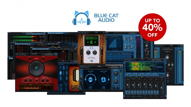 Blue Cat Xmas promo DEC 2020.jpg